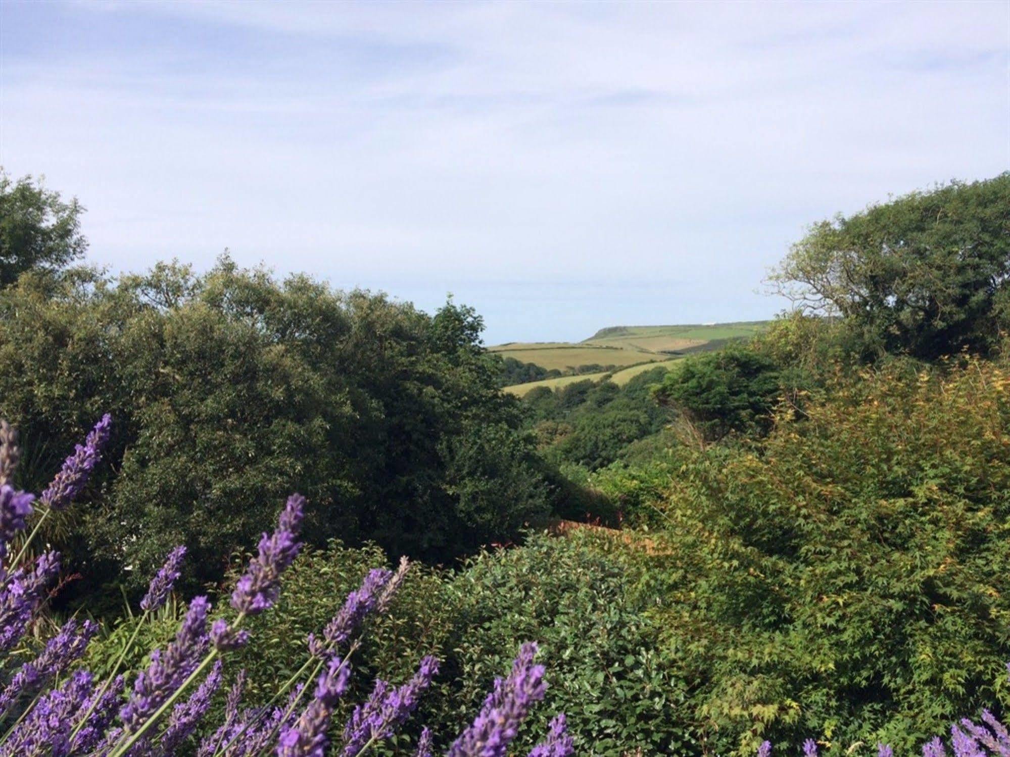Boscastle House Bed and Breakfast Exteriör bild